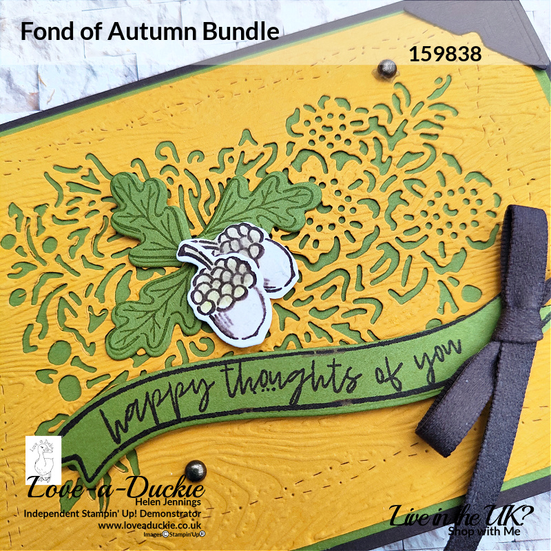 Die cutting, embossing and blending all feature on this Autumn Themed card using Stampin' Up's Fond of Autumn bundle.