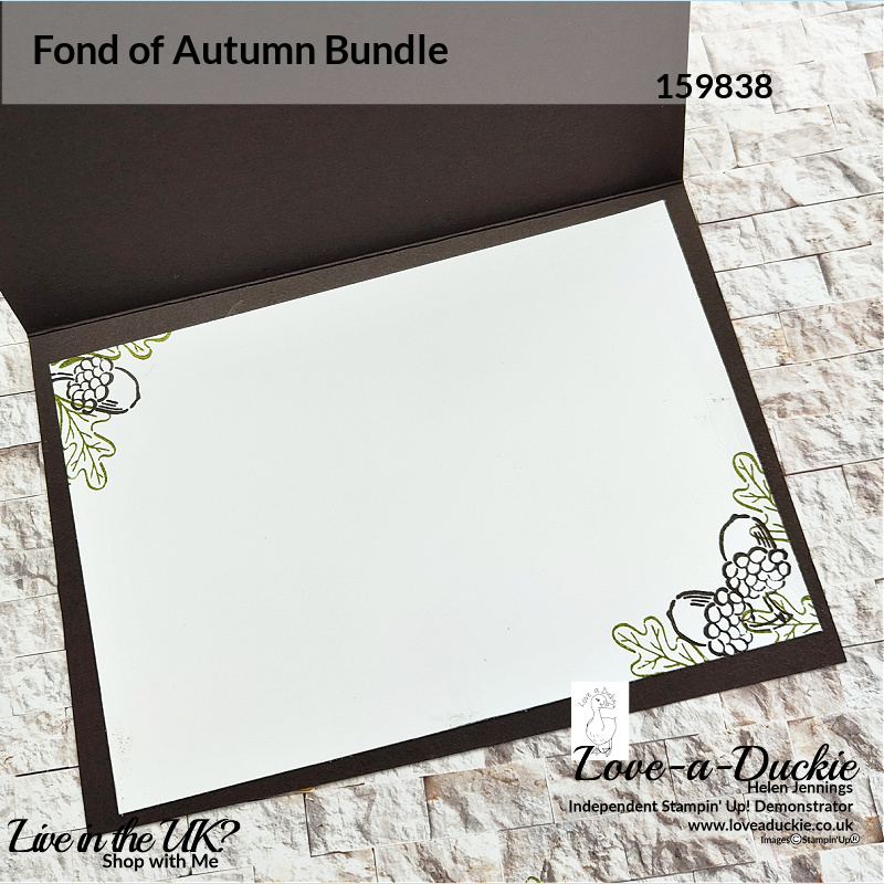 Some simple stamping on the insert of this Autumn Themed Card. using the Fond of Autumn bundle from Stampin' Up!
