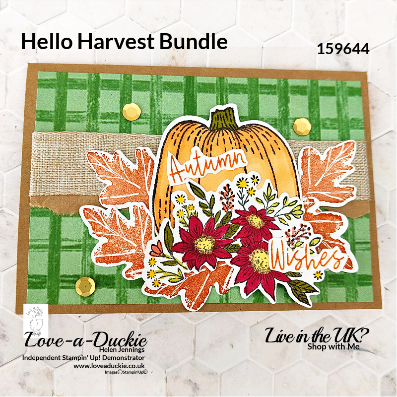 An Autumn Card Using Alcohol Markers from Stampin' Up's Stampin' Blends range and the Hello Harvest bundle.