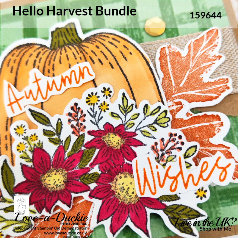 Using Stampin' Blends to colour this autumn wishes card using Stampin' Up's Blends and Hello harvest bundle.