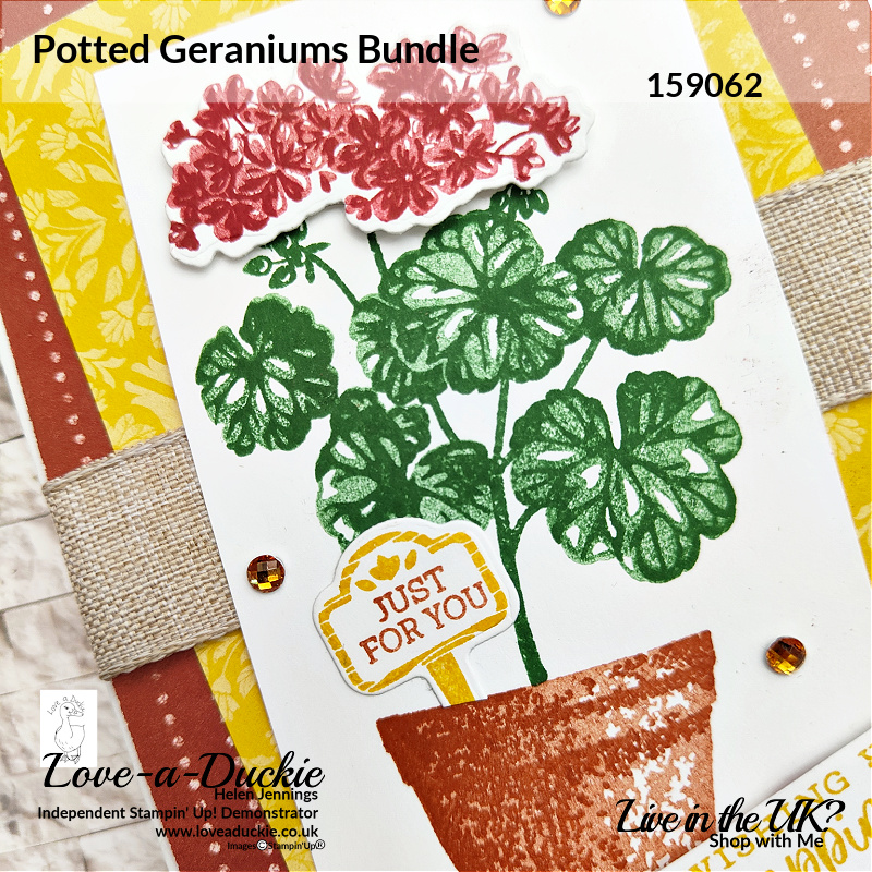 This card using Stampin' Up's Potted Geraniums has different tones in the flowers and leaves achieved with two step stamping.