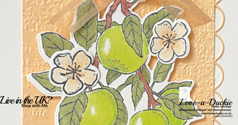 Apple Blossoms Dies – Available for a Limited Time!