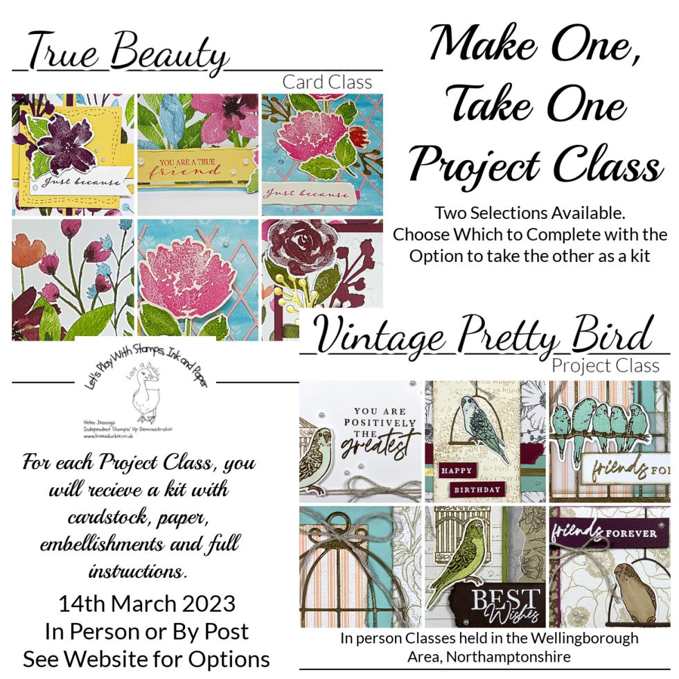 different-colouring-techniques-in-cardmaking-love-a-duckie