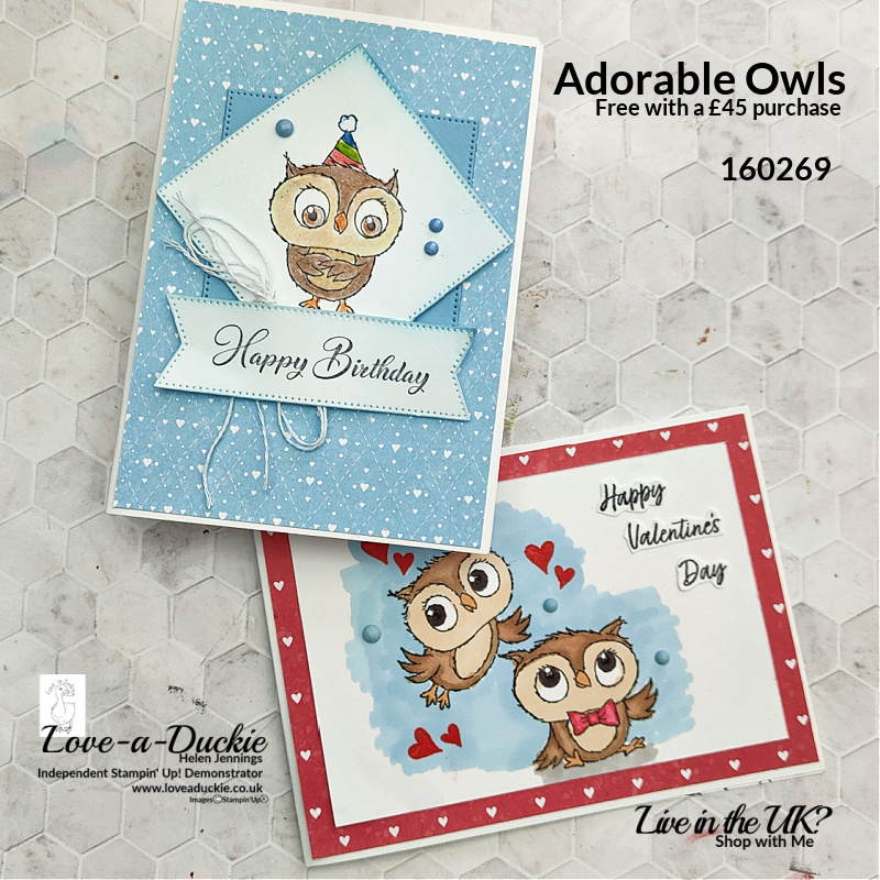 Two cards showing different colouring techniques and Stampin' Up's Adorable Owls stamp set.