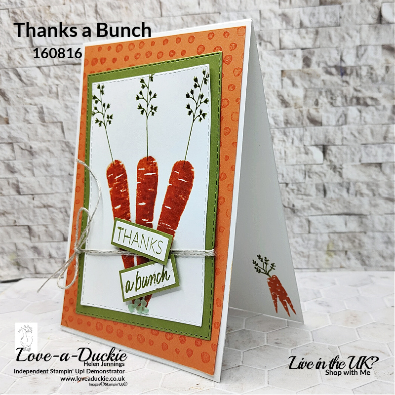 Stampin' Up's Thanks a Bunch stamp set and Hand Drawn Dots background stamp were used in this heat embossed card.