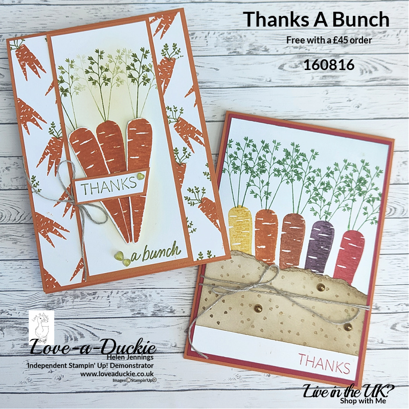 A Dice challenge has inspired these two thank you cards using the Thanks a Bunch stamp set from Stampin' Up!