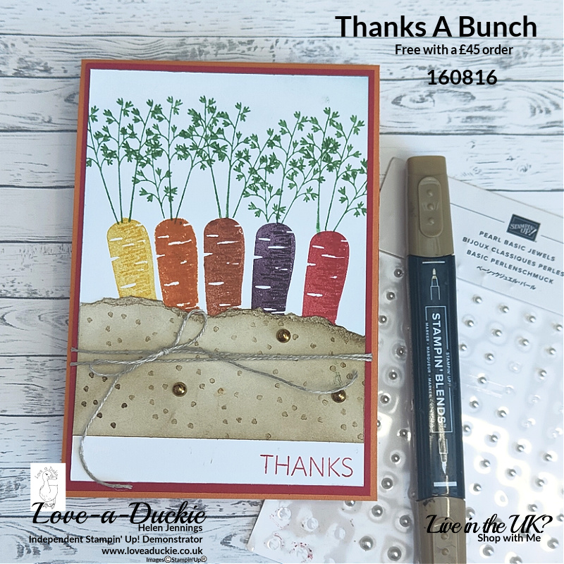 Multi coloured carrots using Regal ink and the Thanks a Bunch stamp set from Stampin' Up!