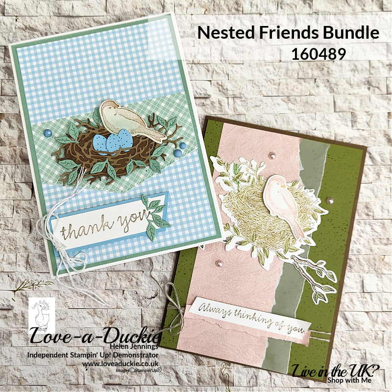 Two cards combining beautiful papers with Stampin' Up's Nested Friends bundle in these springtime cards.