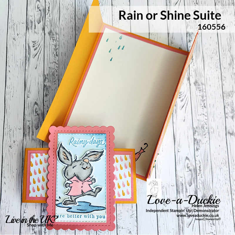 The inside of the gatefold card is stamped using the Playing in the Rain bundle from Stampin' Up!