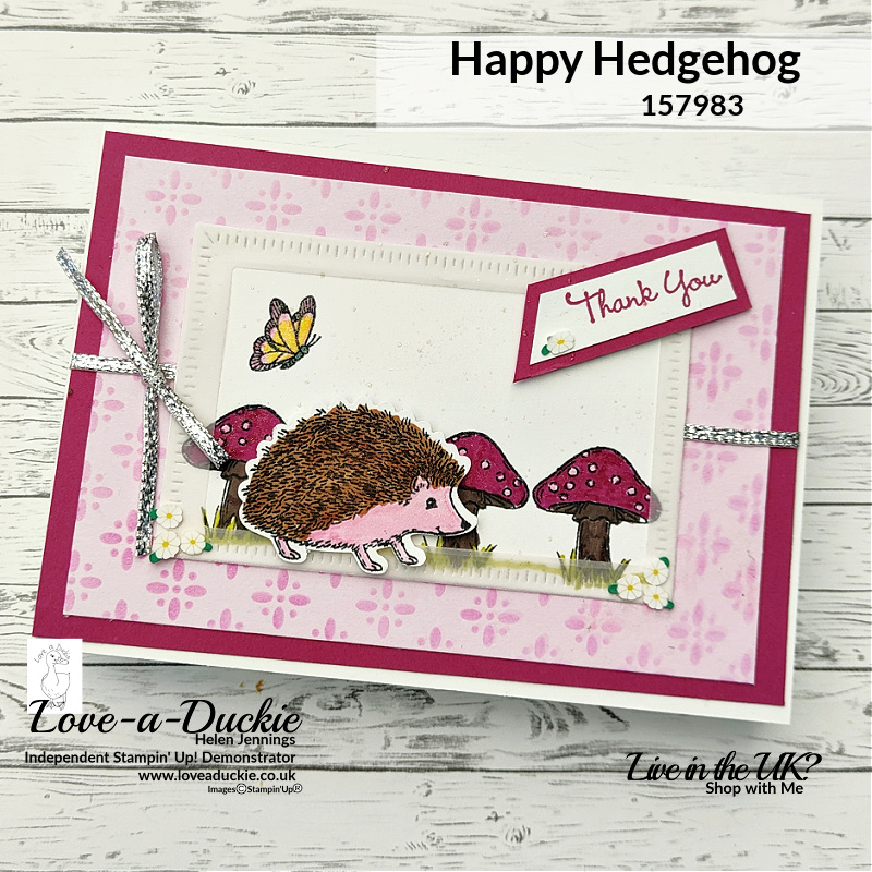 Using Vellum As A Frame in Card Making with the Happy Hedgehog stamp set and Radiating dies from Stampin' Up!
