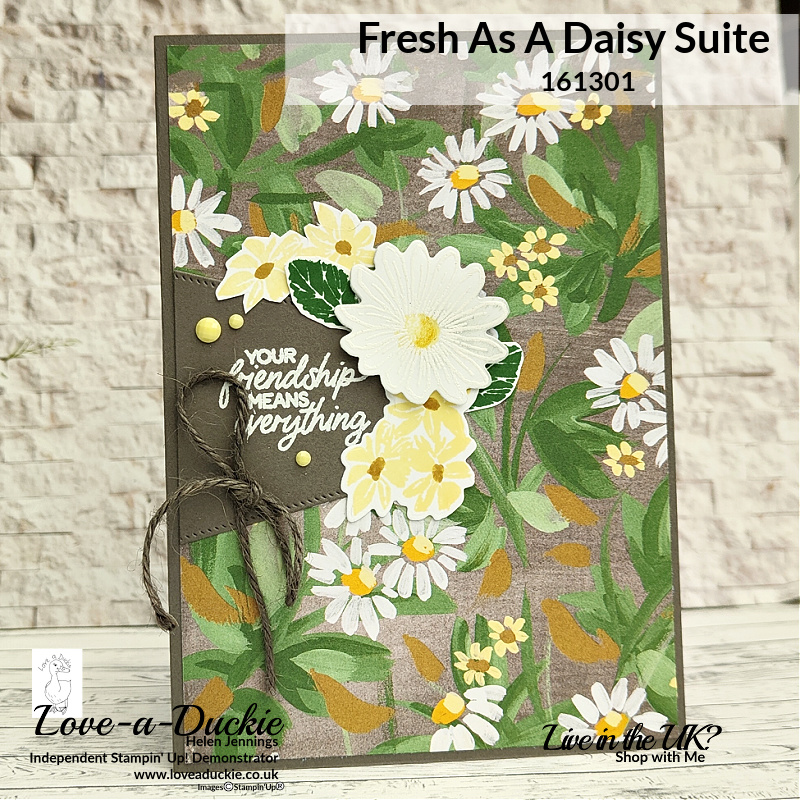 An Inside Shadow Box card using the Fresh as a Daisy suite from Stampin' Up!