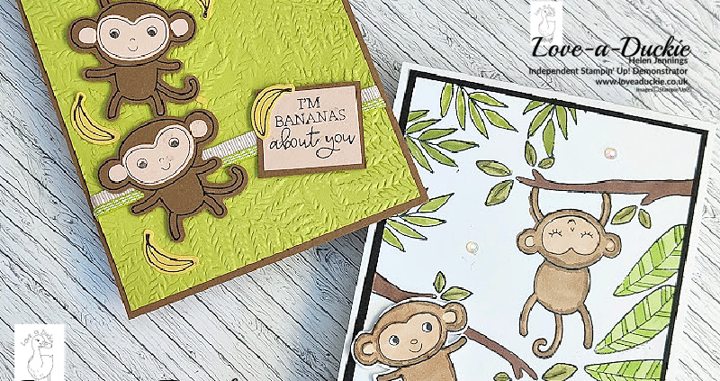 Little Monkey Themed Cards