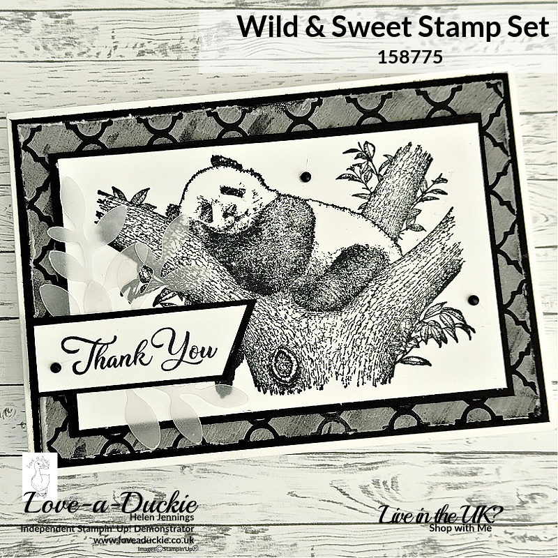 A thank you card featuring a panda from Stampin' Up's Wild & Sweet stamp set.