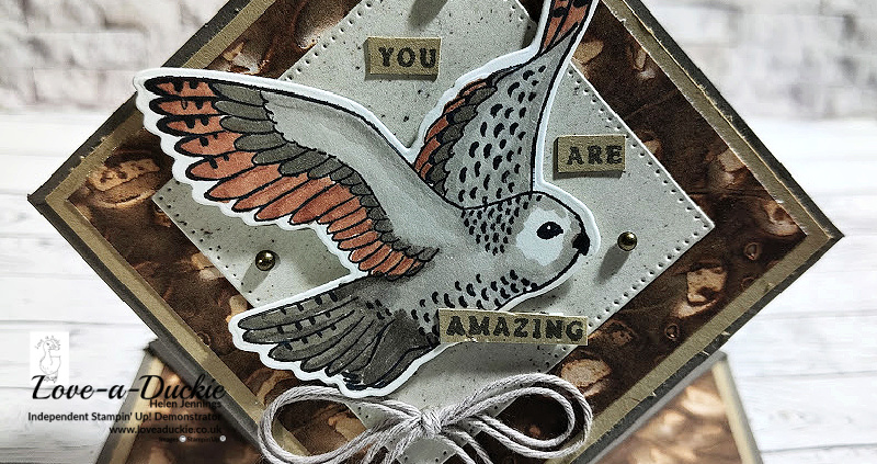 Owl Themed Pop Up Diamond Card