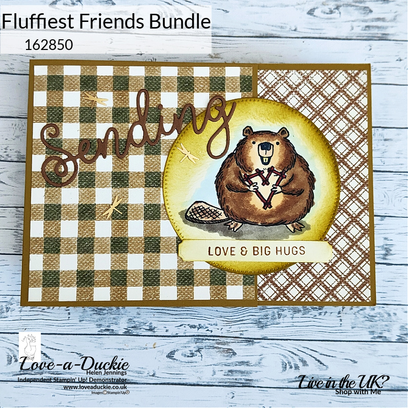 Patterned paper fro Stampin' Up's let's Go Fishing pack provide the backdrop to this Beaver from the Fluffiest Friends stamp set.