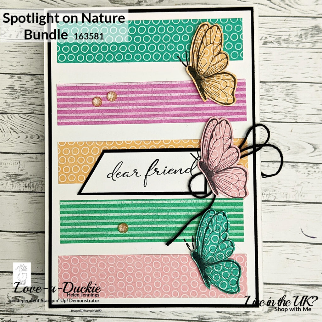 A friendship card using the Spotlight on Nature bundle and new In Color Designer Series Paper from Stampin' Up!