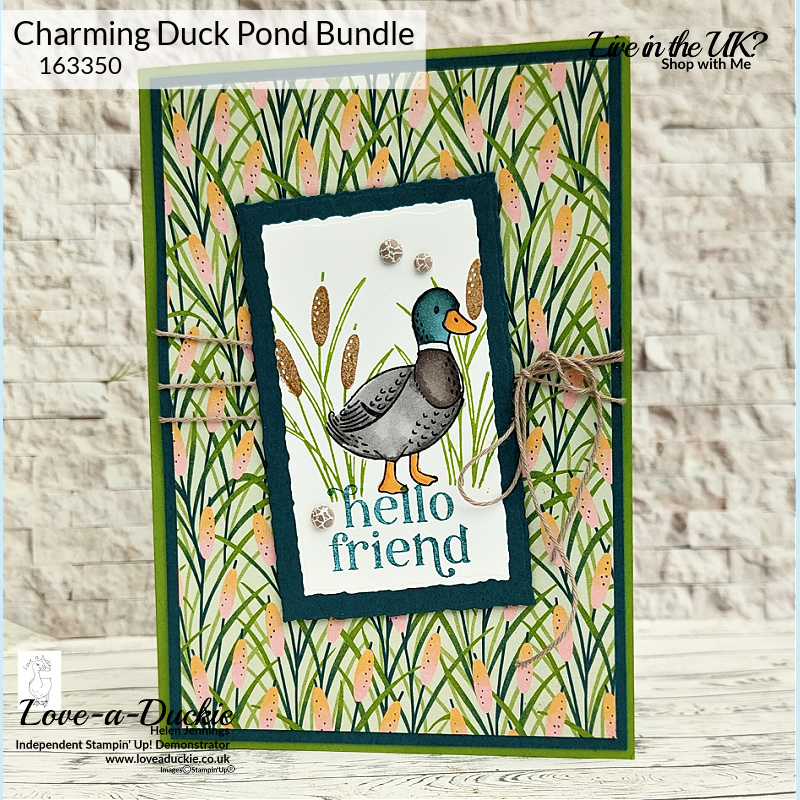 A duck card coloured with Stampin' Blends, Stampin' Up's Alcohol Marker pens