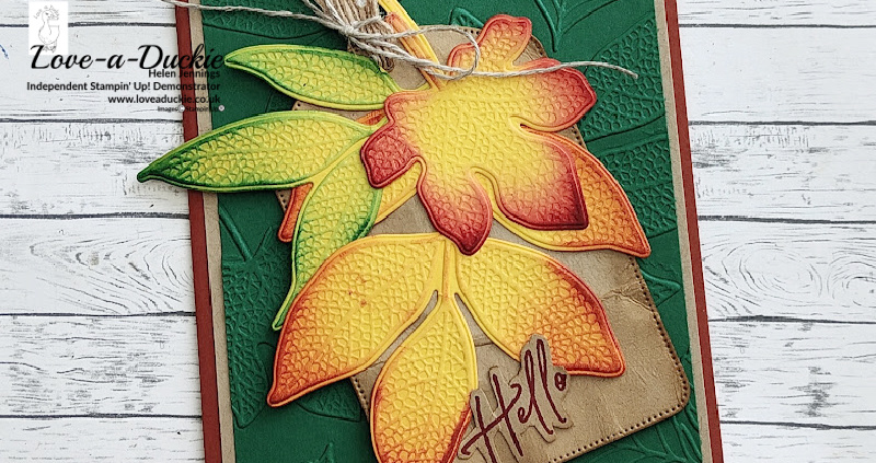 Using Hybrid Embossing Folders