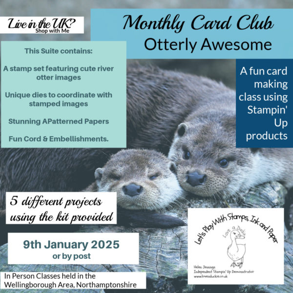 Monthly Card Club Using the Otterly Awesome Suite