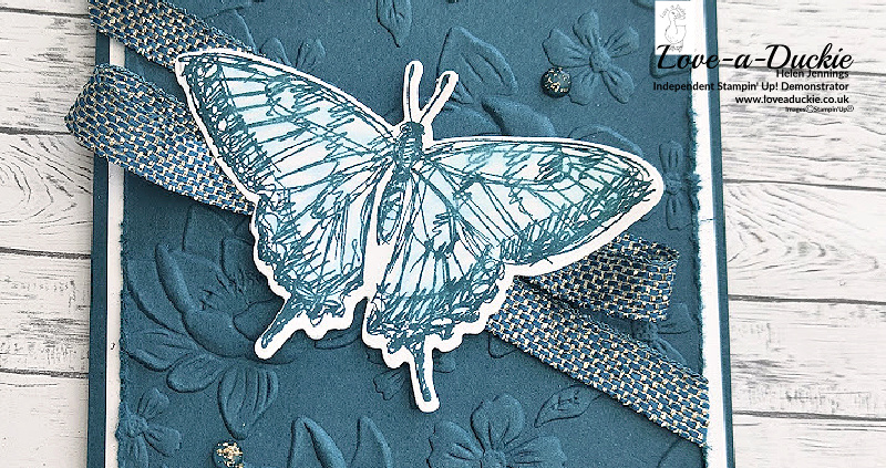 A Monochromatic Butterfly Card