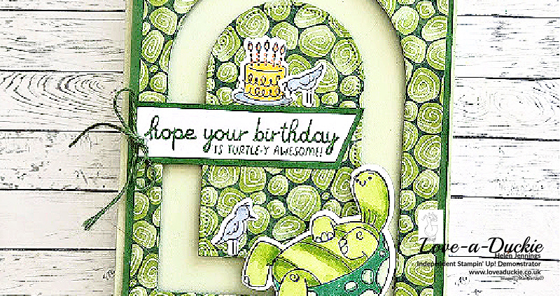 Penny Slider Turtle Card