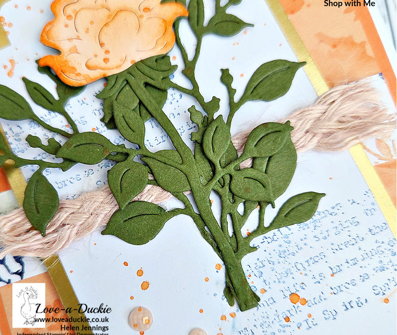 Creating a Pair of Floral Cards