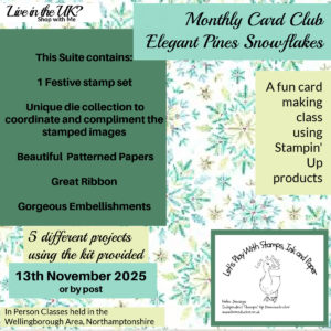 Monthly Card Club Using the Elegant Pine Snowflakes Suite
