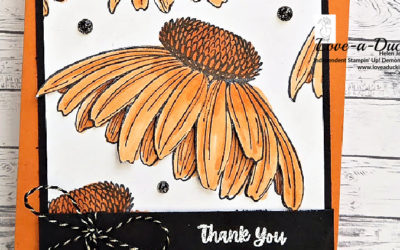 Monochrome Impact in Pumpkin Pie