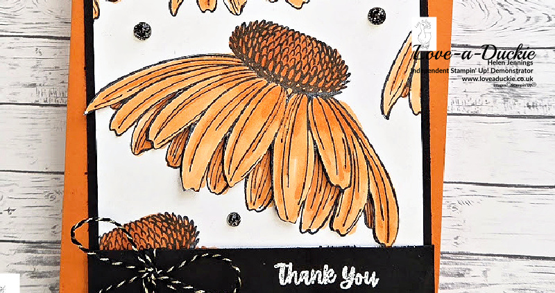 Monochrome Impact in Pumpkin Pie