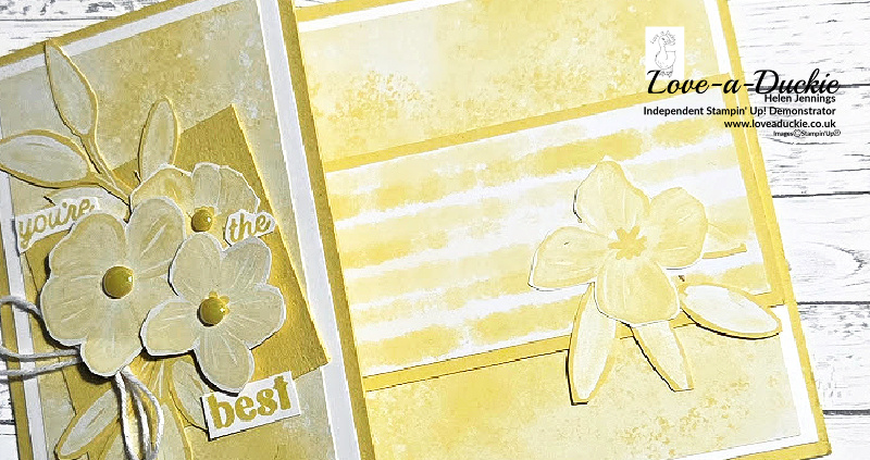 Monochromatic Magic in Darling Duckling