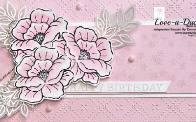 Soft Monochrome in Bubble Bath