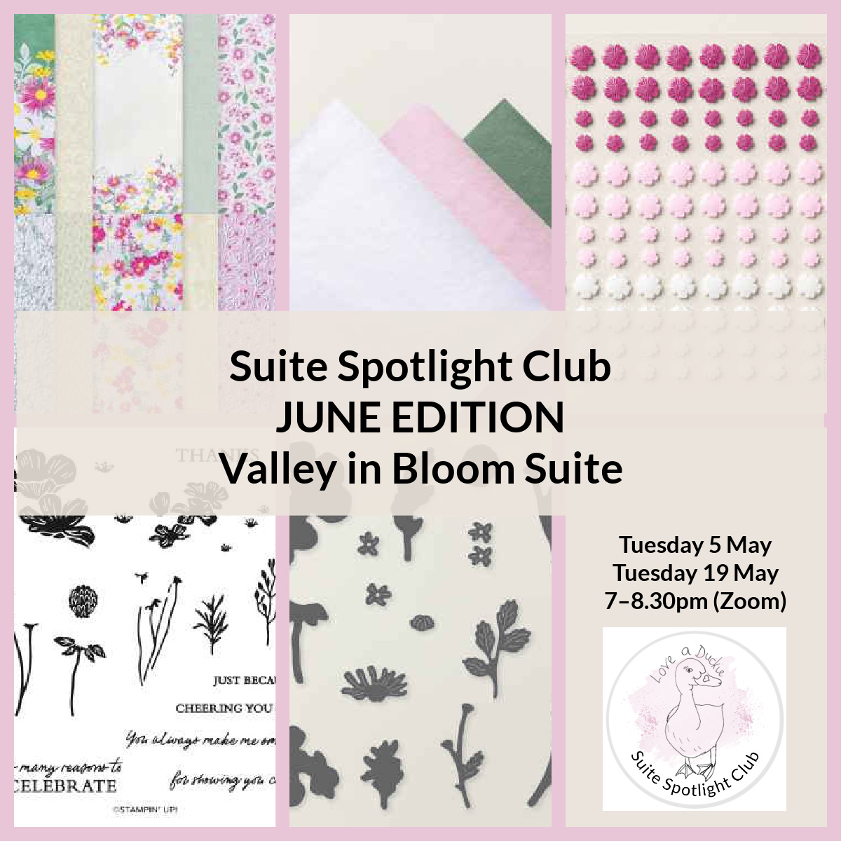 Suite Spotlight Club -June 2026